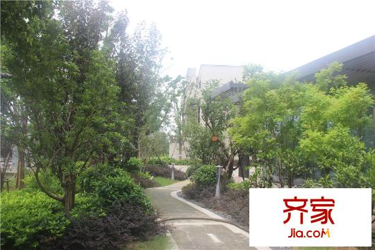 南光・洛龙湾壹号样板区(2015.08)