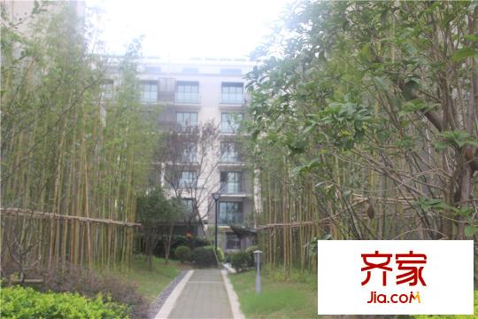 南光・洛龙湾壹号样板区(2015.08)