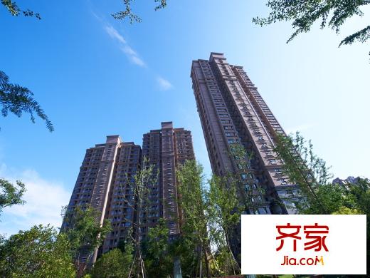 红豆人民路九号中央景观(2013.07)