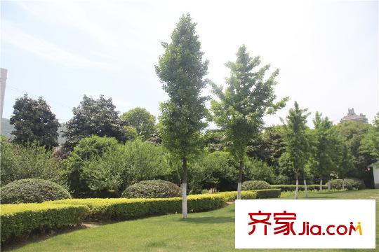 国联乐园周边200米小公园