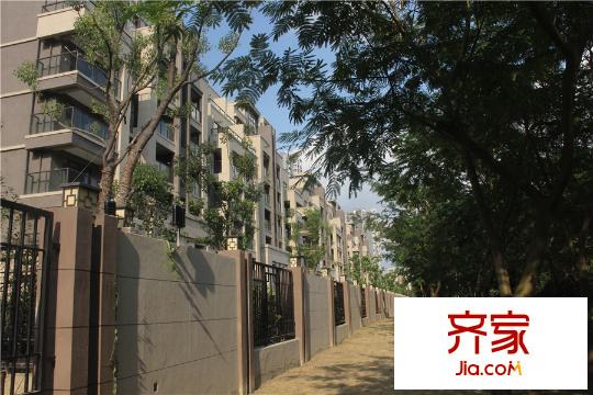 国信世家璞园前排洋房(2015.9)