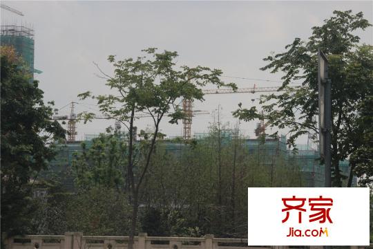 中海珑玺二期高层进度(2015.9.11)