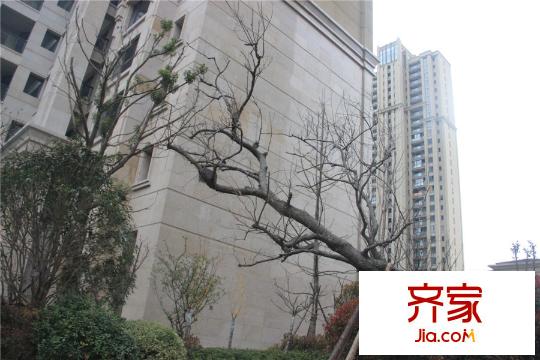 路劲天御外立面实景(2015.4.1)