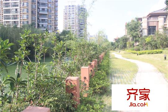 明发国际新城别墅社区水岸实景(2015.9.16)