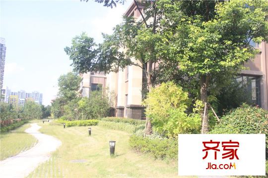 明发国际新城别墅社区草地实景(2015.9.16)