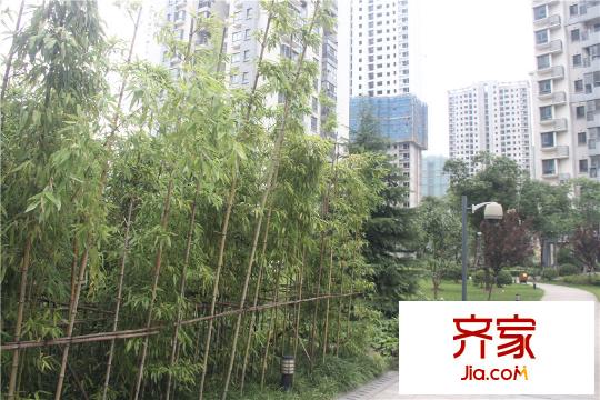 新加坡・尚锦城小区(2015.7)