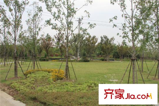 绿城玉兰花园周边配套金匮公园
