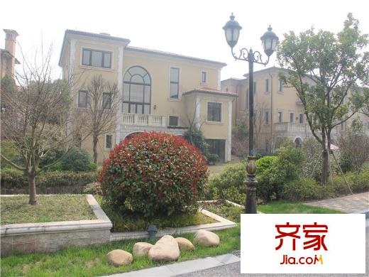 南丰御园一期小区绿化实景(2014.3)