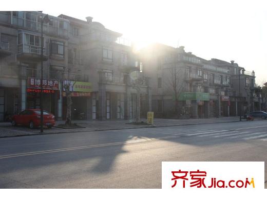 嘉利华府庄园周边商业一条街