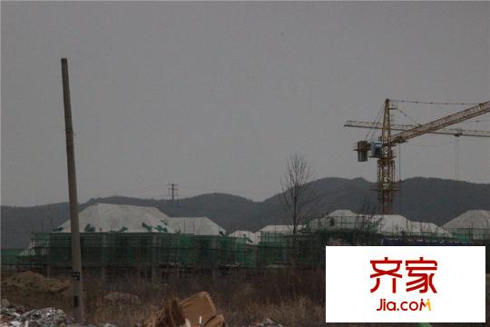 绿城雅园工程进度实景(2015.3)