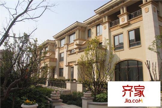 金丰・观湖铂庭一期别墅实景(2015.3.22)