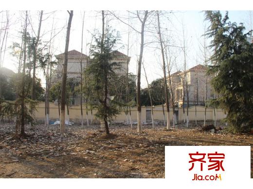 嘉利华府庄园(2013.1.17)