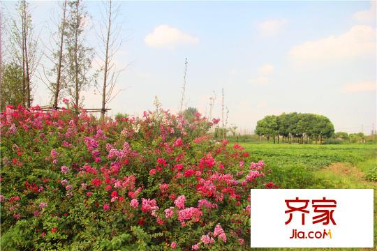 田园东方(2015.9)