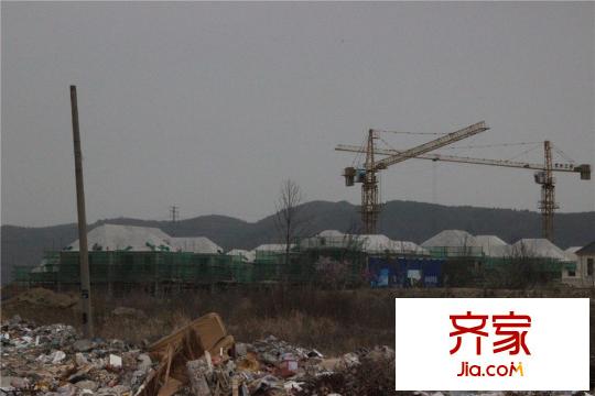 绿城雅园工程进度实景(2015.3)