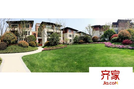 复地源墅别墅绿化实景(2015.5)