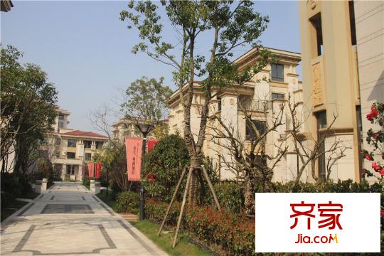 金丰・观湖铂庭一期别墅实景(2015.3.22)