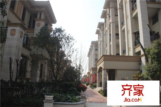 金丰・观湖铂庭一期别墅实景(2015.3.22)