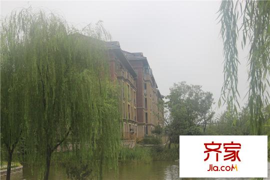 洛城・中央御景小区实景照片(2015.08)