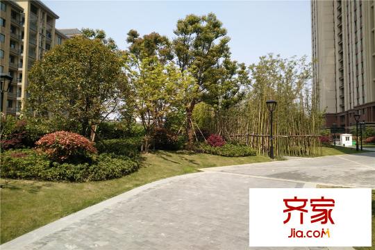 长江国际・朗庭A2区小区实景(2015.04)