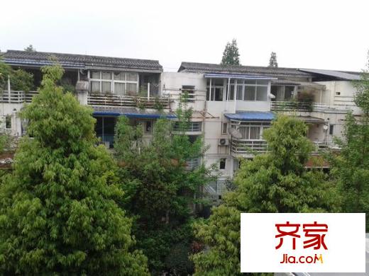 四季青城外景圖 