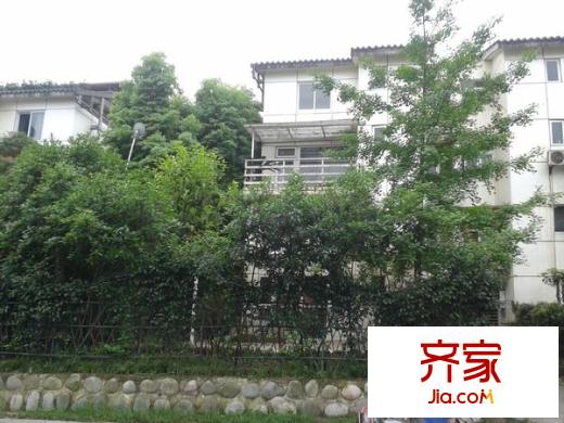 四季青城外景圖 