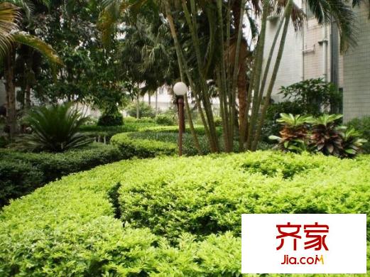 華都花園二期外景圖 