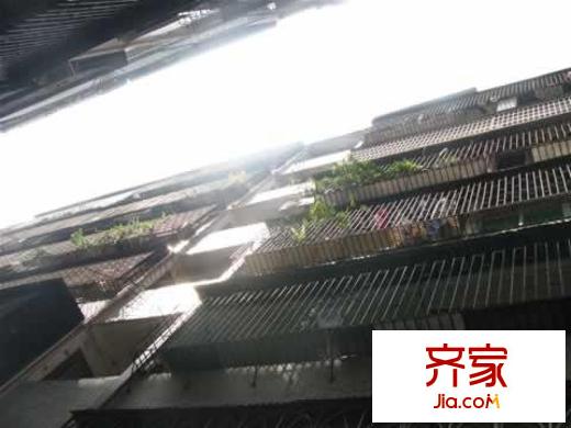天鵝花園外景圖實(shí)景圖  