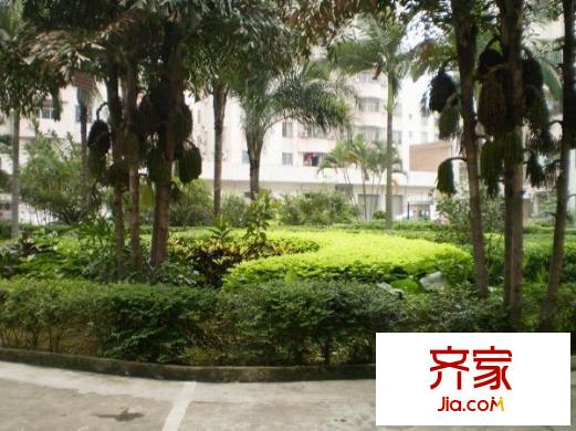 華都花園二期外景圖 