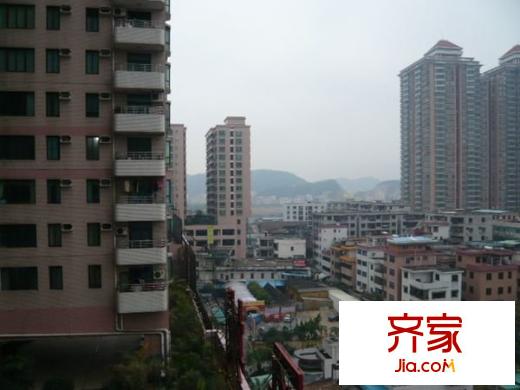 太平廣場(chǎng)花園外景圖 