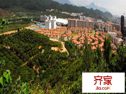 藍(lán)山錦灣三期小區(qū)綠化實(shí)景（2013-4-20）