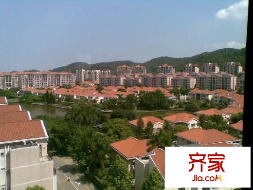 新世界花園帝景臺外景圖 