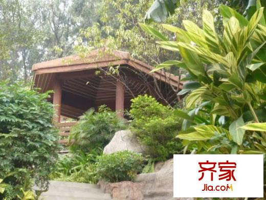 新安大廈外景圖 