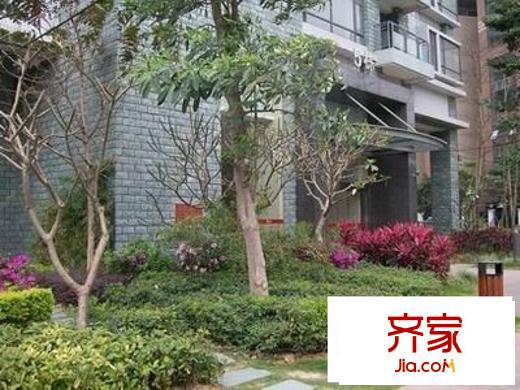 海岸國(guó)際外景圖 