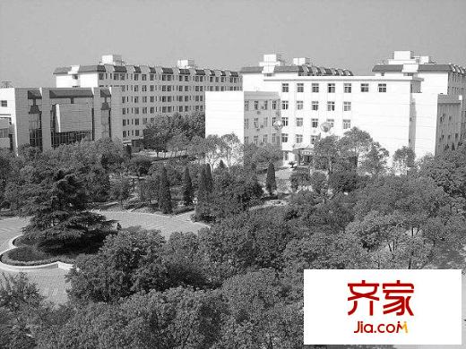 橄欖園外景圖   
