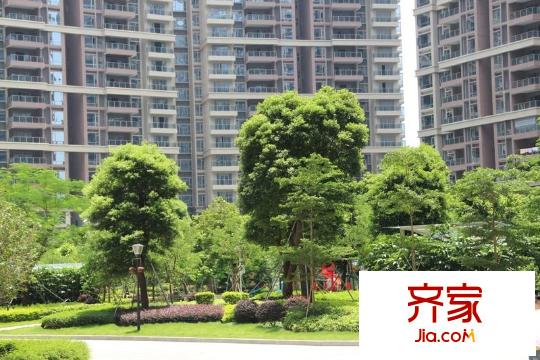 龍泉圣達(dá)菲小區(qū)園林（2013-6-25）