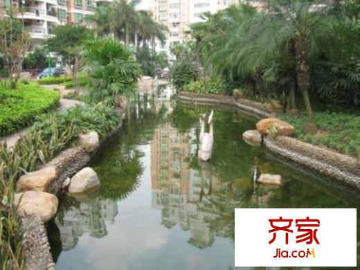 公園?上座實景圖小區(qū)園林實景（2010-11-21）