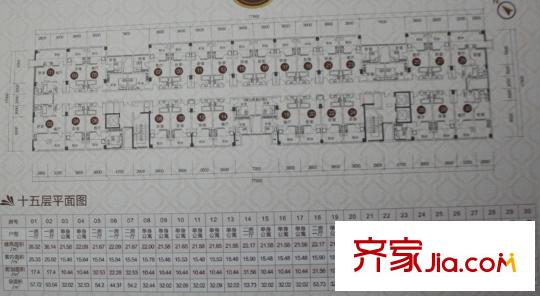 怡豐公寓戶型圖十五層平面圖 1室1衛(wèi)1廚