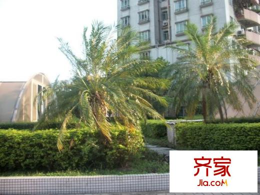 經(jīng)貿(mào)中心大廈外景圖 