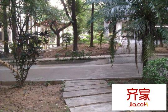 第二教師村外景圖 