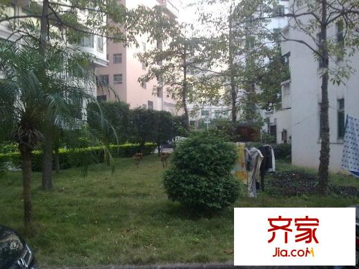 金?；ㄔ吠饩皥D 