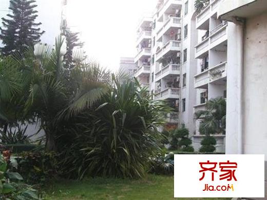 金牛花苑外景圖 