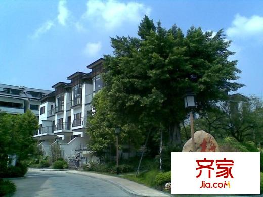 星河傳說旗峰天下紫荊苑外景圖星河傳說旗峰天下 