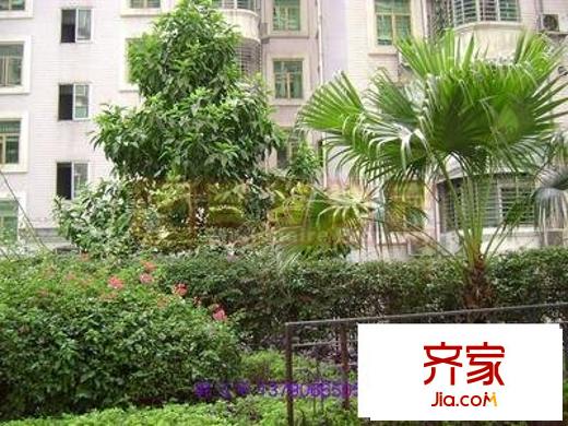蓮花別墅洋房外景圖蓮花別墅  