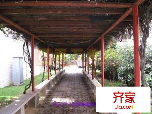 蓮花別墅洋房外景圖蓮花別墅  