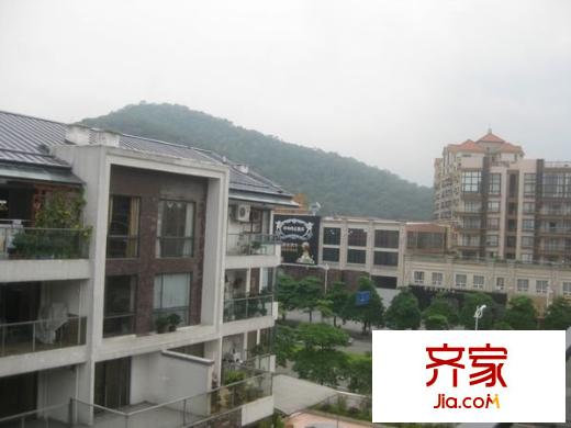 星河傳說旗峰天下紫荊苑