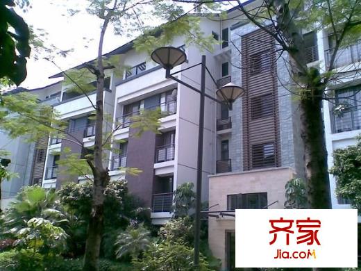 星河傳說旗峰天下紫荊苑外景圖星河傳說旗峰天下 