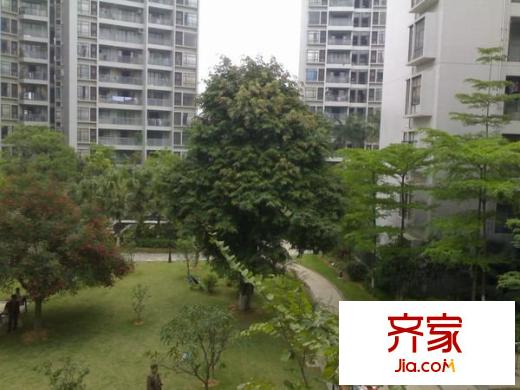 星河傳說旗峰天下紫荊苑外景圖星河傳說旗峰天下 