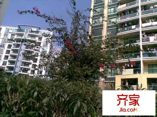 蔚藍(lán)星湖三期外景圖 