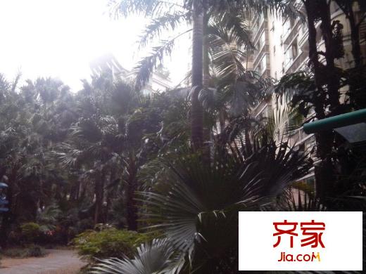 石竹新花園外景圖 