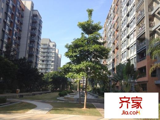 理想0769外景圖 